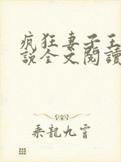 疯狂妻子王慧小说全文阅读