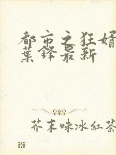 都市之狂婿战神叶锋最新封面