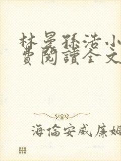 林曼孙浩小说免费阅读全文最新章节