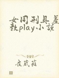 女同刑具羞耻调教play小说封面