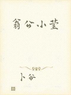 翁公小莹