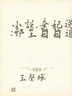 小说,弃妃逆袭:邪王日日追妻忙