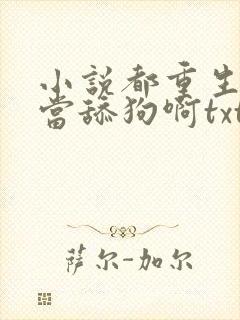 小说都重生了谁当舔狗啊txt