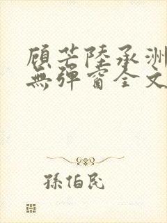 顾芒陆承洲小说无弹窗全文免费阅读封面