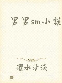 男男sm小说封面