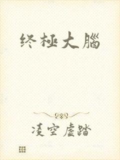 终极大脑