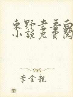 东野圭吾白夜行小说免费阅读