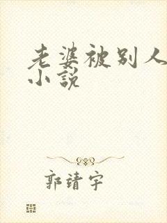 老婆被别人操的小说