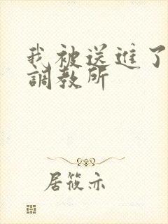 我被送进了私奴调教所