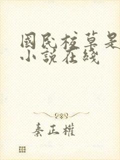 国民校草是女生小说在线