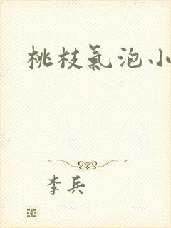 桃枝气泡小说封面