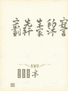 宋先生的宠妻计划轩家沐言