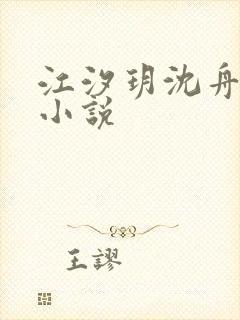 江汐玥沈舟琛的小说
