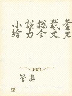 小说总裁爹地超给力全文免费阅读