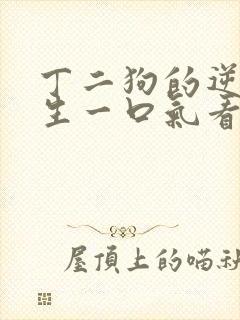 丁二狗的逆袭人生一口气看完