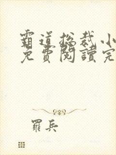 霸道总裁小娇妻免费阅读完整