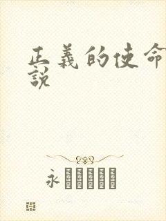 正义的使命 小说