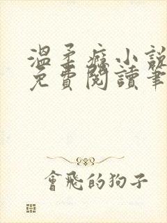 温柔瘾小说全文免费阅读笔趣阁