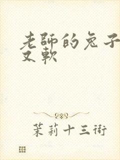 老师的兔子又大又软封面
