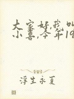 大家好,我叫林小喜,今年19岁小说