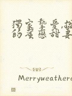 独家挚爱,总裁的蜜恋甜妻