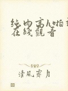 纯肉高h啪视频在线观看