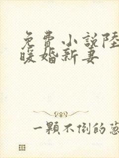 免费小说陆少的暖婚新妻