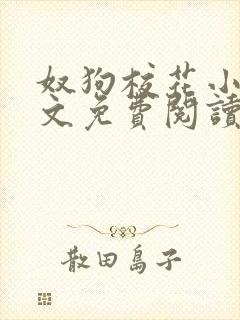 奴狗校花小说全文免费阅读