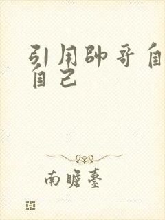 引用帅哥自己玩自己封面