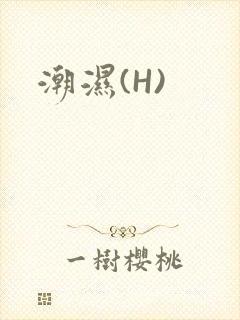潮湿(H)