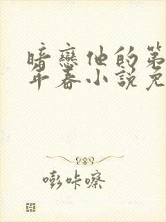 暗恋他的第十一年春小说免费阅读