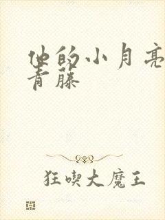 他的小月亮by青藤