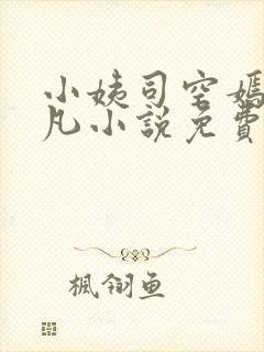 小姨司空嫣然叶凡小说免费阅读全文