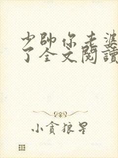 少帅你老婆又跑了全文阅读免费