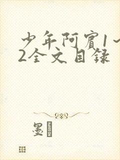 少年阿宾1～72全文目录
