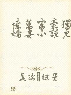 亿万富豪独宠小娇妻小说免费阅读