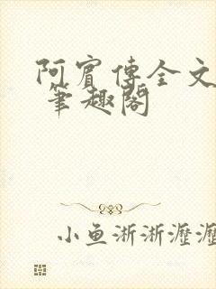 阿宾传全文阅读 笔趣阁