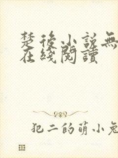 楚后小说无删减在线阅读