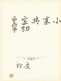 皇家共享小公主宁初