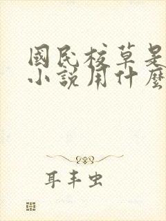 国民校草是女生小说用什么app可以免费