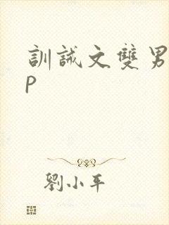 训诫文双男主sp