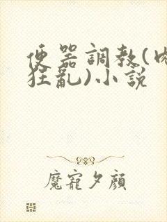 便器调教(肉体狂乱)小说封面