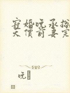 宠婚晚承总裁的天价前妻完整版封面