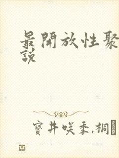 最开放性聚会小说封面