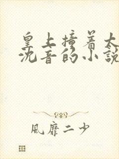 皇上撞着太子妃沈音的小说叫什么