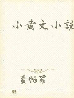 小黄文小说