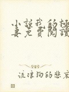 小说我的极品娇妻免费阅读全文