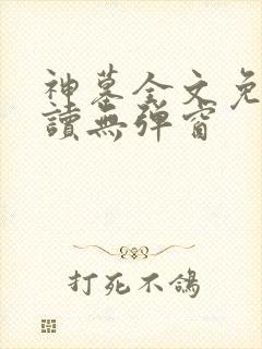 神墓全文免费阅读无弹窗封面