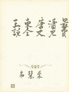 王东唐潇最新小说全文免费阅读萧峥的小说