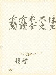 偷偷藏不住在线阅读全文免费